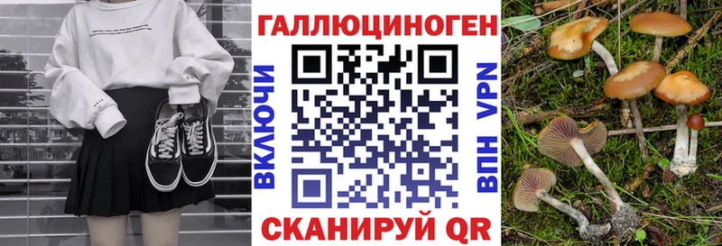 купить наркоту Норильск Псилоцибиновые грибы Psilocybine cubensis