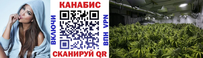 где купить   Норильск  Бошки Шишки White Widow 